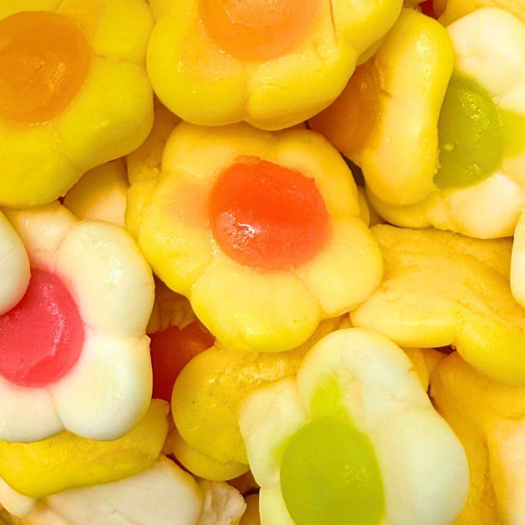 Vegane Süßigkeiten Colorful Sunflower 500g (Vegan) – online kaufen | Gummilicious